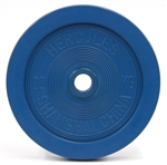 DHS 20 kg Training Bumpers