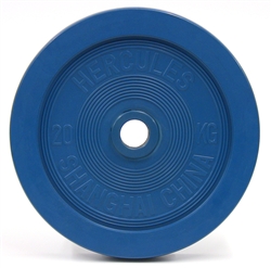 DHS 20 kg Training Bumpers